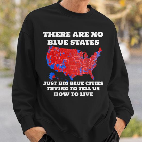 There Are Blue States Just Big Blue Cities Trying To Tell Us
