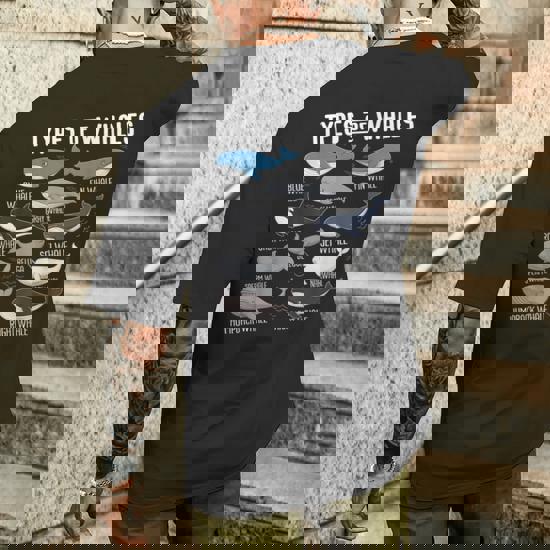 Cute Types Of Whales Ocean Mammals Guide Whale Men's T-shirt Back Print |  Seseable CA