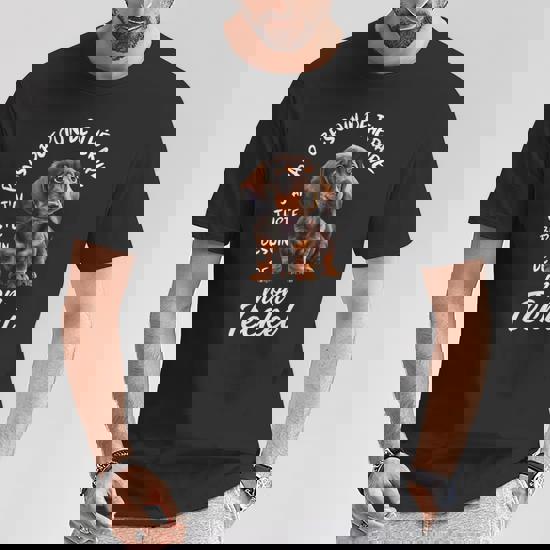 Chiots Teckel à Poil Ras à Vendre | Éleveur Certifié