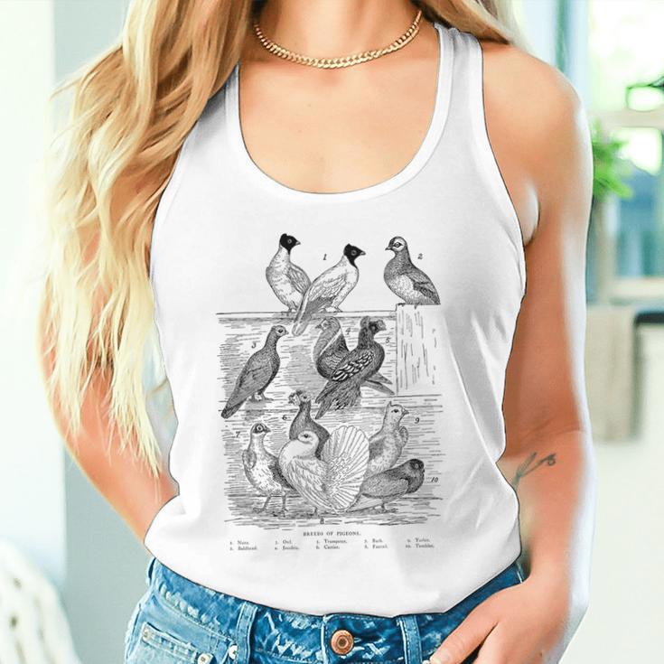 Pigeonintage Breeds Of Pigeons For Pigeon Lover Tank Top