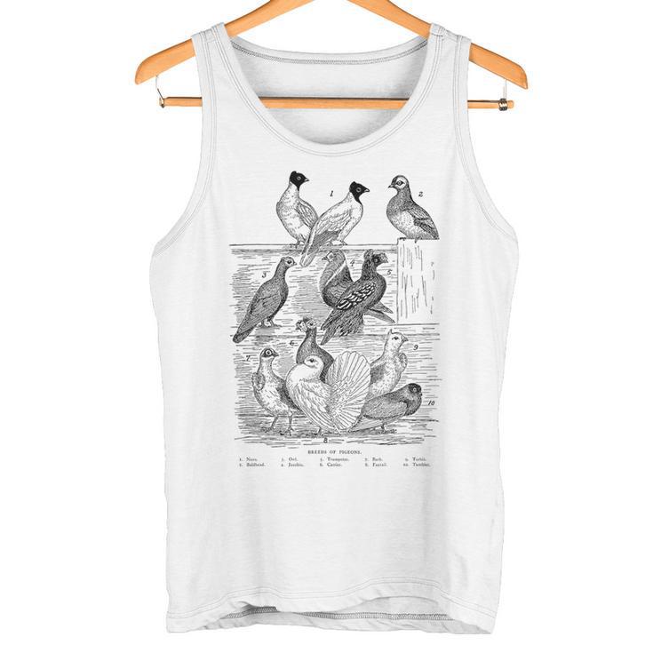 Pigeonintage Breeds Of Pigeons For Pigeon Lover Tank Top