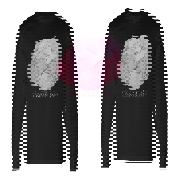 Echeveria Lolita Succulent Plant Sweatshirt - Monsterry