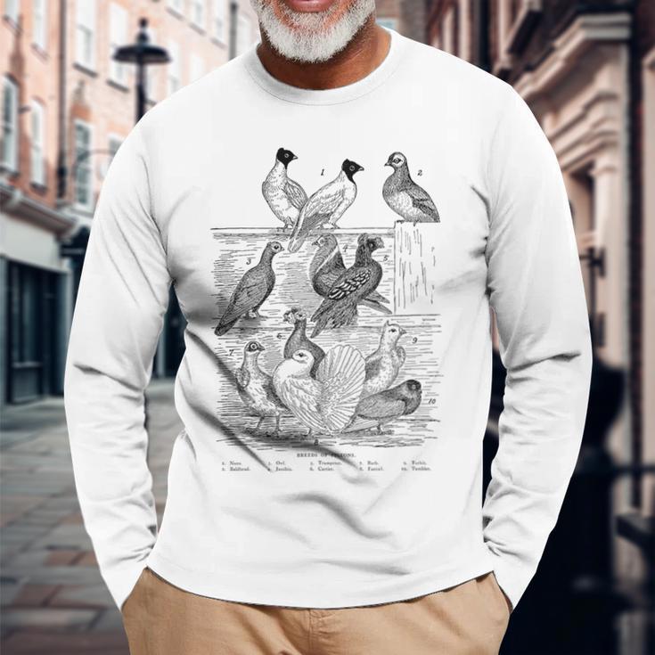 Pigeonintage Breeds Of Pigeons For Pigeon Lover Langarmshirts Geschenke für alte Männer