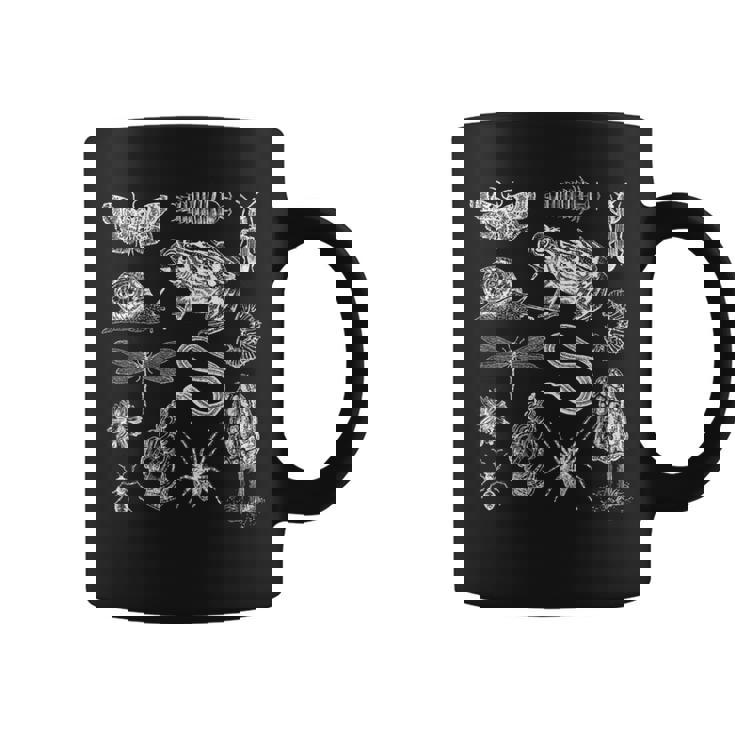 Goblincore Goblincoreintage Biologie Champignon Tasse