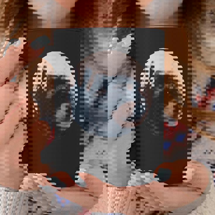 Pedro Raccoon Meme Uomini Donne Bambini Tazze Regalos divertidos
