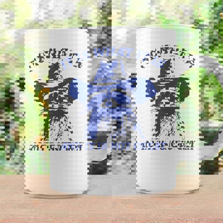 Raccoon Retro It Is What It Is And It Is Not Great Coffee Mug Gifts ideas