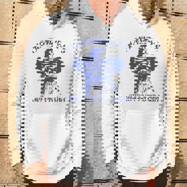 Raccoon Retro It Is What It Is And It Is Not Great Hoodie Lifestyle