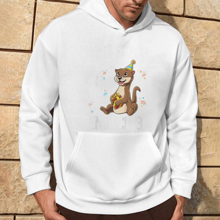 Kinder 3 Geburtstag Otter Wild Frech Und Endlich 3 Jahre Kapuzenpullover Lebensstil