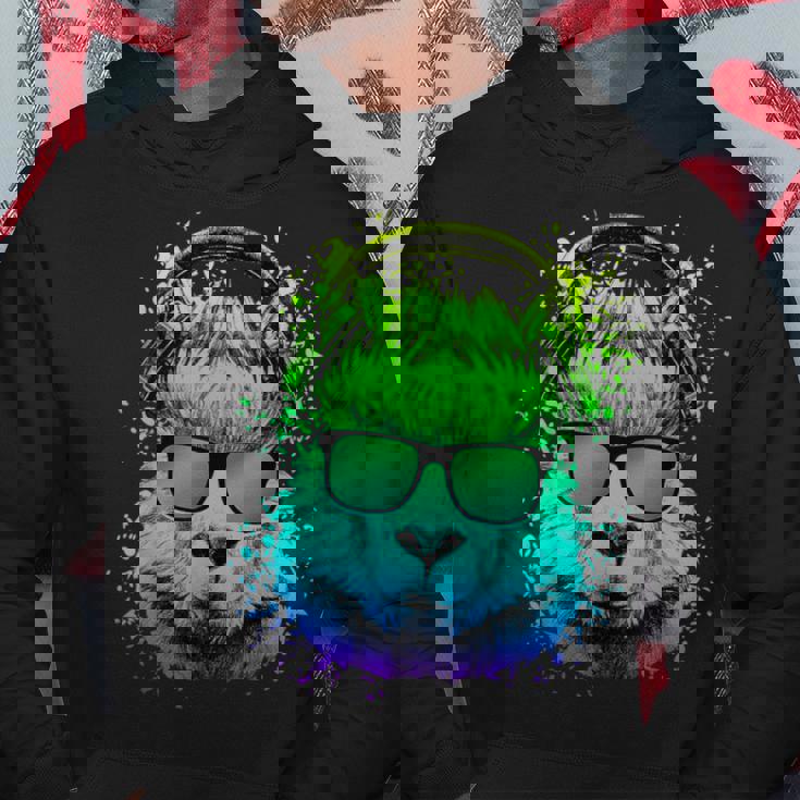 Dj Regalo Per Ravers Edm Techno House Music Lama Psichedelica Felpa con cappuccio Regalos divertidos