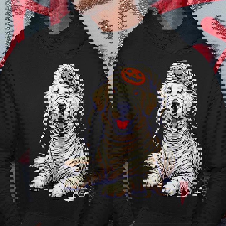 Halloween English Cream Golden Retriever Dog Cute Puppy Hoodie Personalized Gifts