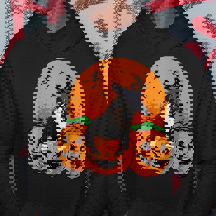 Tuxedo Cat Witch Hat Halloween Scary Jack O Lantern Pumpkins Hoodie Unique Gifts