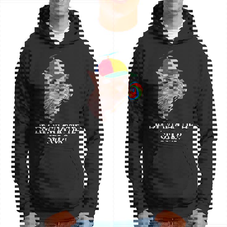 Erm What Sigma Cat Meme Memes Internet Memes Joke Mens Hoodie