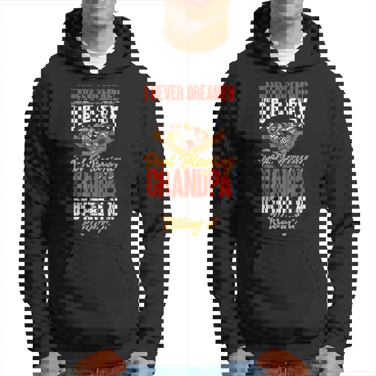 Fathers Day Billiard Be A Sexy Pool Playing Grandpa Snooker Hoodie