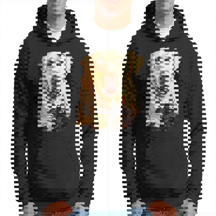 Fotografía Fotográfica Con Cámara De Fotos De Perro Labrador Retriever Sudadera
