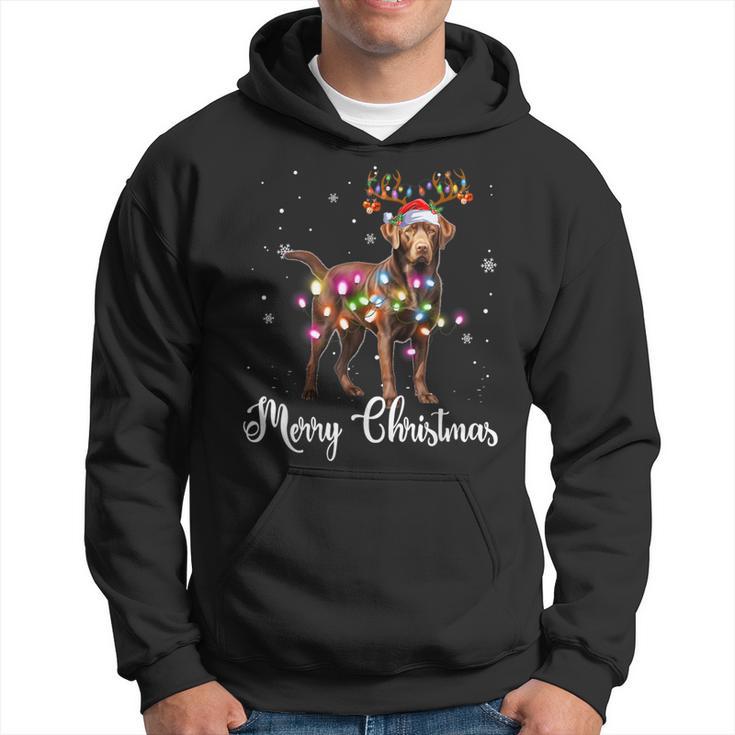 Labrador Retriever Christmas Reindeer Dog Lover Kapuzenpullover