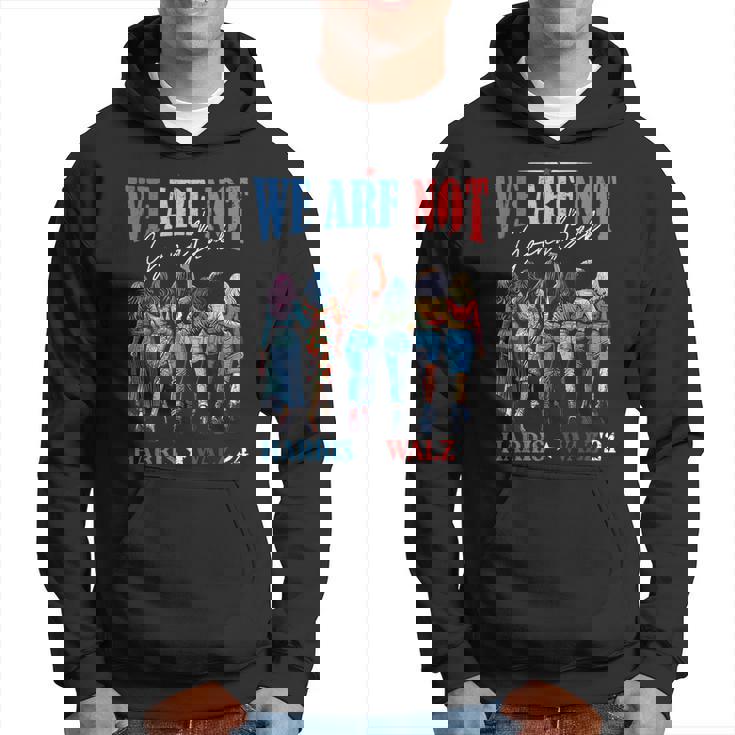 We Are Not Going Back Kamala Harris Waltz 24 Madam President Hoodie