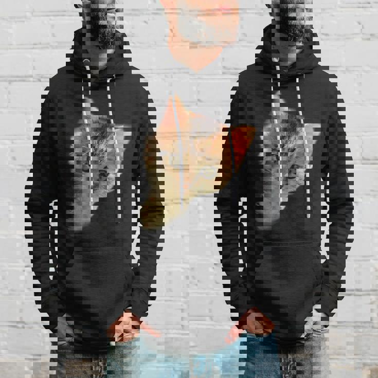 Divertido Gatito Gigante Paño Divertido Gato Amante Gato Dueño