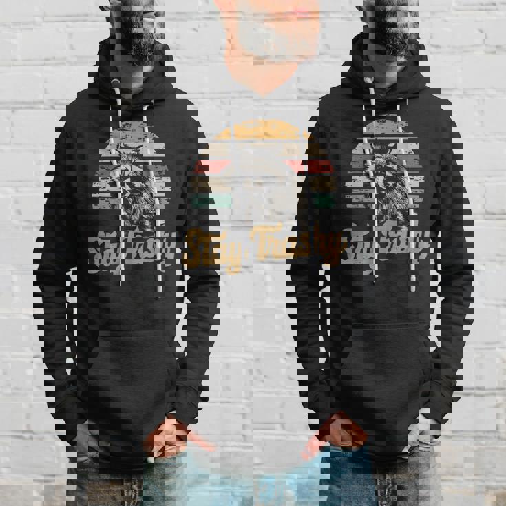 Stay Trashy Opossum Raccoon Internet Memes Meme Hoodie Gifts for Him