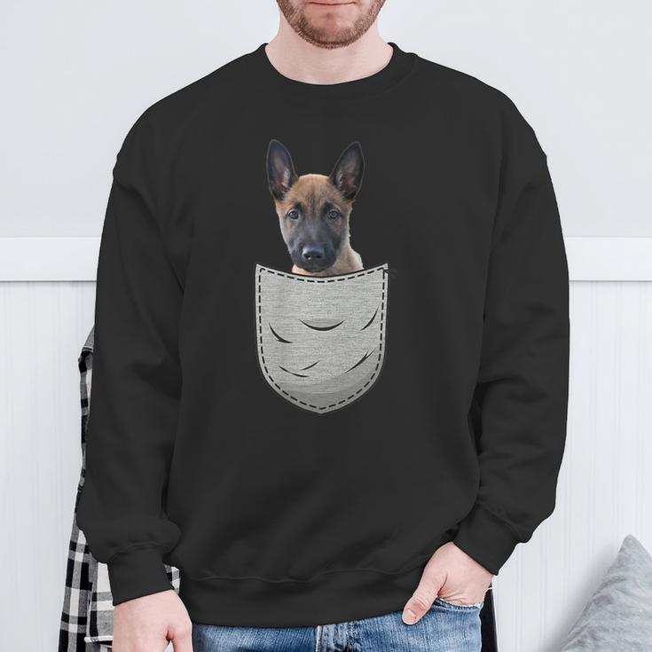 Belgian Malinois Puppy Dog Lover Mechelaar Sweatshirt Geschenke für alte Männer