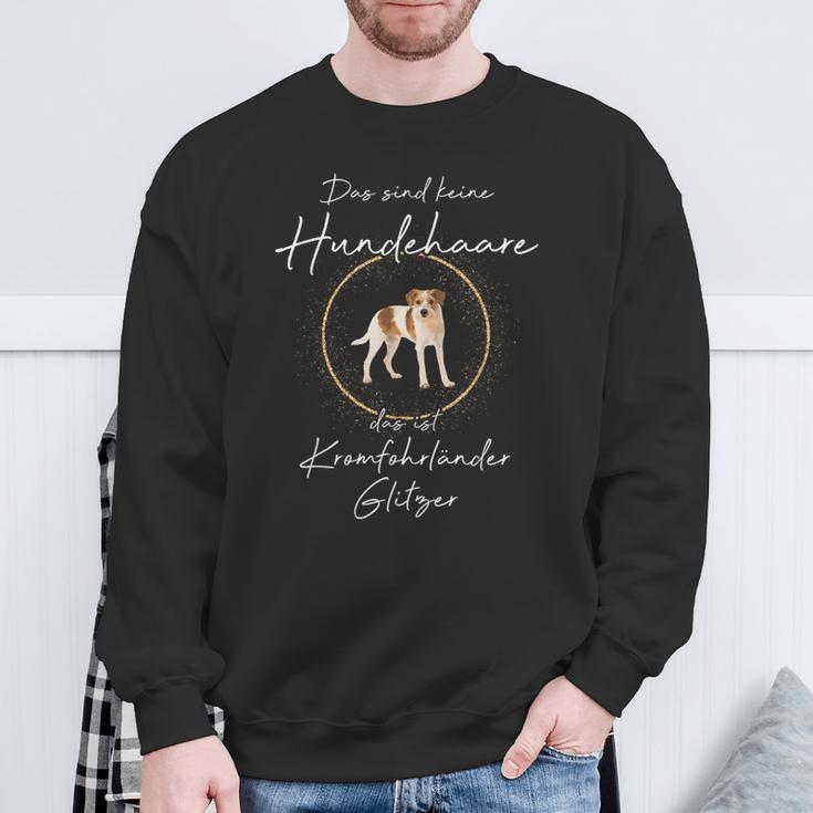 Das Sind Keine Hundehaare Das Ist Kromfohrländer Glitter Sweatshirt Geschenke für alte Männer