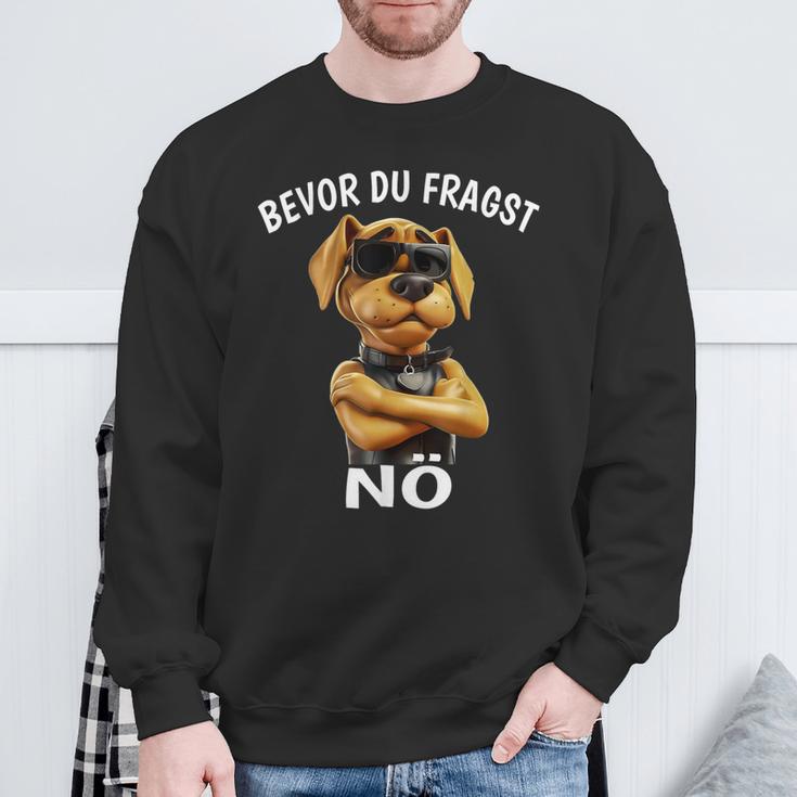 Dog Sarcasm Bevor Du Fragst Nö Sweatshirt Geschenke für alte Männer