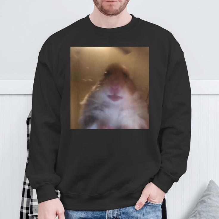 Hamster Starrt In Die Front Camera I Internet Hamster Meme Sweatshirt Geschenke für alte Männer