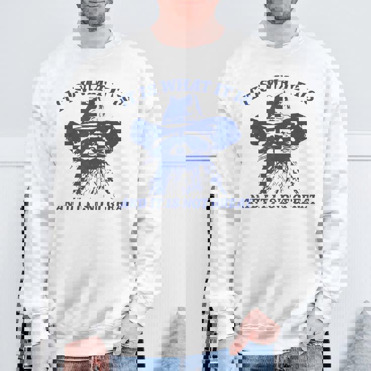 Raccoon Retro It Is What It Is And It Is Not Great Sweatshirt Gifts for Old Men