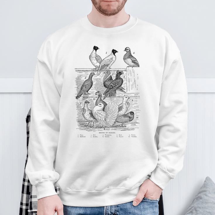 Pigeonintage Breeds Of Pigeons For Pigeon Lover Sweatshirt Geschenke für alte Männer