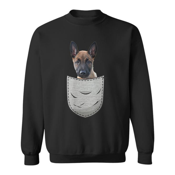 Belgian Malinois Puppy Dog Lover Mechelaar Sweatshirt