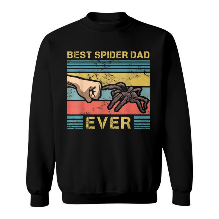 Bester Spinnen Papa Tarantula Pet Terrarium Father Sweatshirt