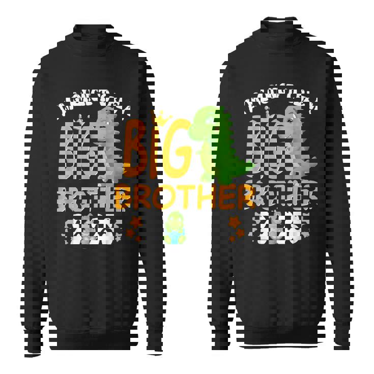 Big Brother 2025 Dinosaur Sweatshirt