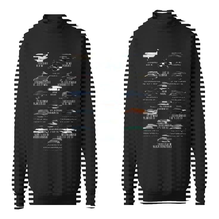 Biología De Especies De Ballenas Diferentes Tipos De Ballenas Camisa de entrenamiento