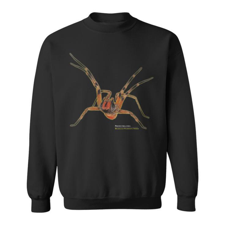 Brazilian Spider Phoneutria Fera Sweatshirt