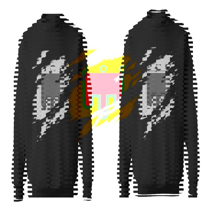 Drapeau Auvergne Blason Déchiré À Effet 3D France Sweater e