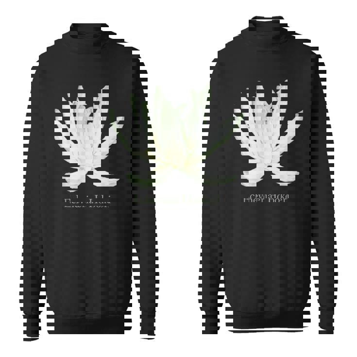 Sassy As A Succulent Purple Echeveria Plant Lovers Sweatshirt