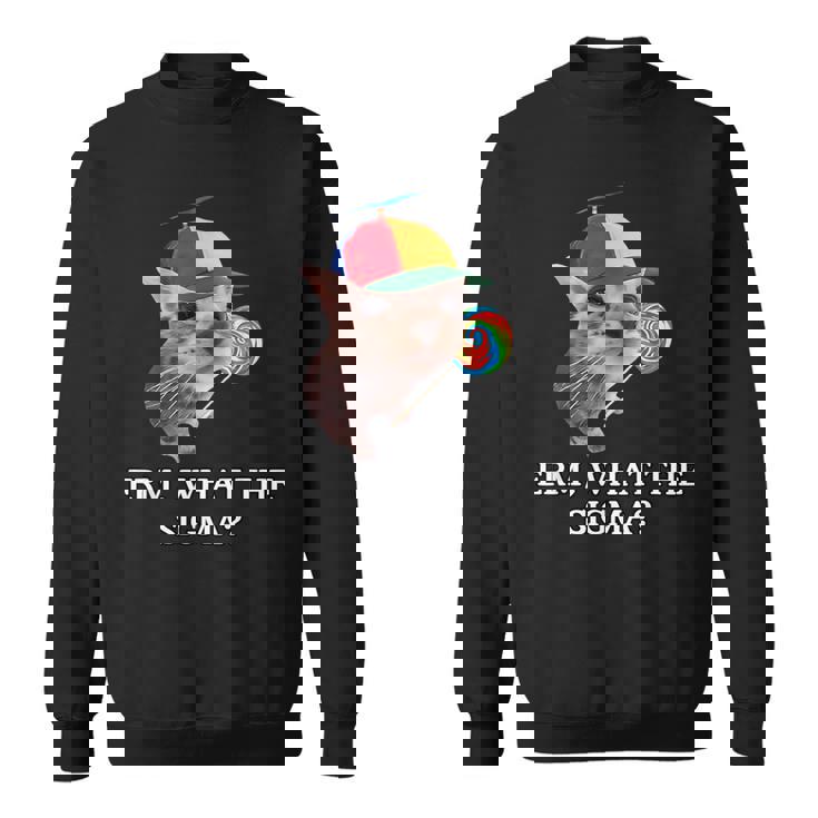 Erm What Sigma Cat Meme Memes Internet Memes Joke Mens Sweatshirt