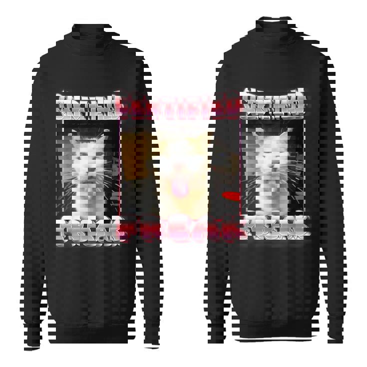 Cat Meme Certified Freak Cat Meme Sweatshirt
