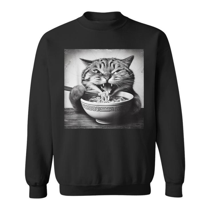 Cat Ramen Fiesta Kitten Anime Ramen Cat Enthusiast Sweatshirt