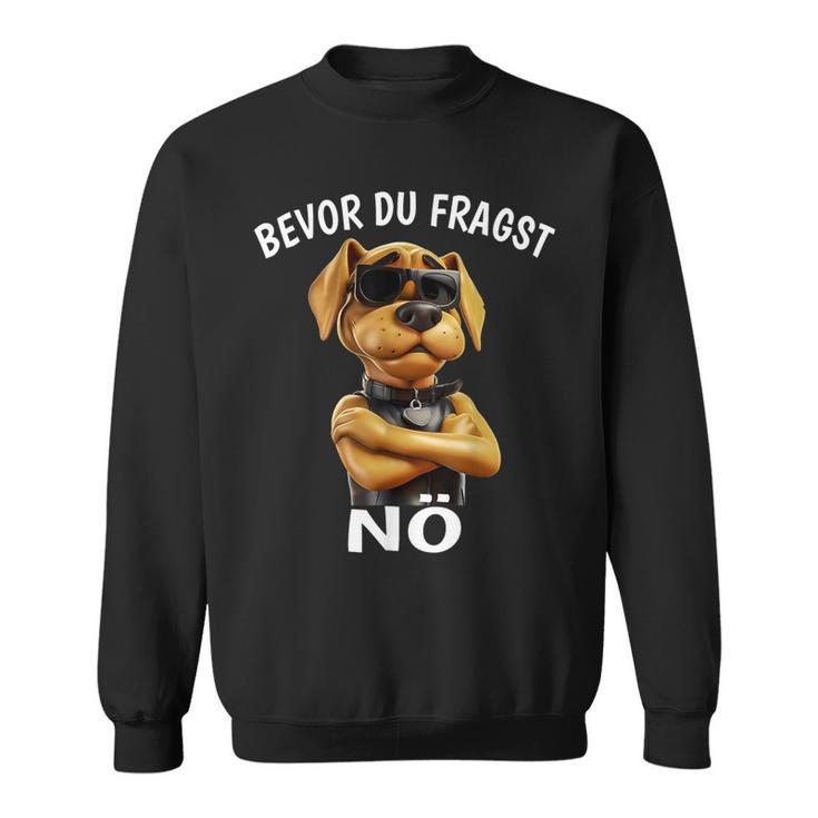 Dog Sarcasm Bevor Du Fragst Nö Sweatshirt