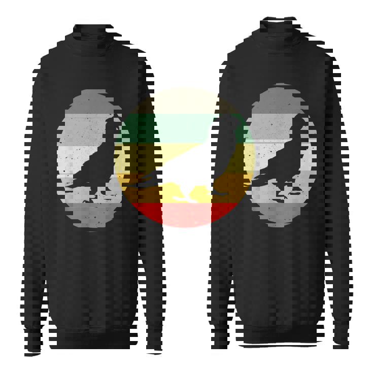 Loro Conure Guacamayo Loros Animal Ave Loro Camisa de entrenamiento