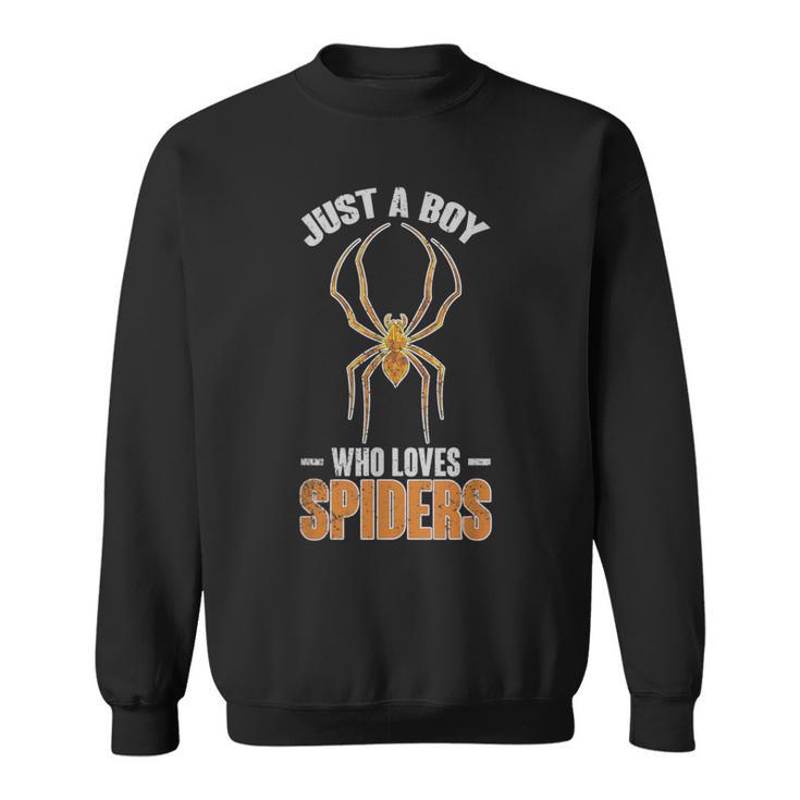 Nur Ein Junge Der Spinnen Liebt Arachnide Spider Sweatshirt