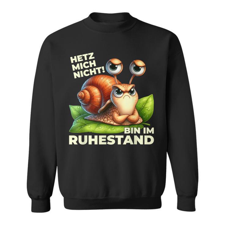 Rente 2024 Pensioner Turtle Do Not Rush Sweatshirt