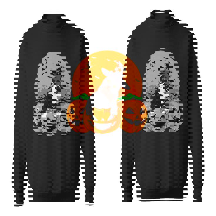 Tuxedo Cat Witch Hat Halloween Scary Jack O Lantern Pumpkins Sweatshirt