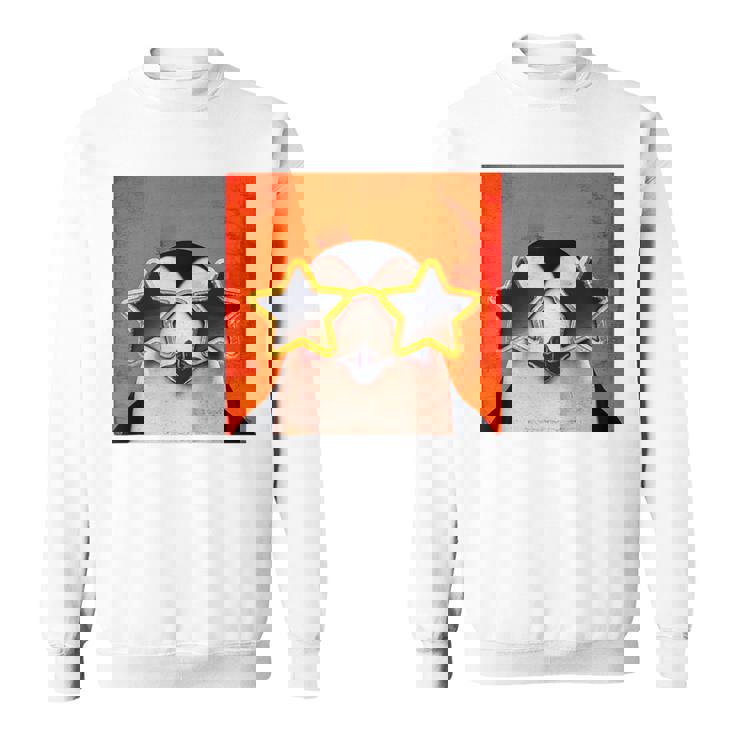 Pinguini Maglia Con Maniche Raglan Felpa