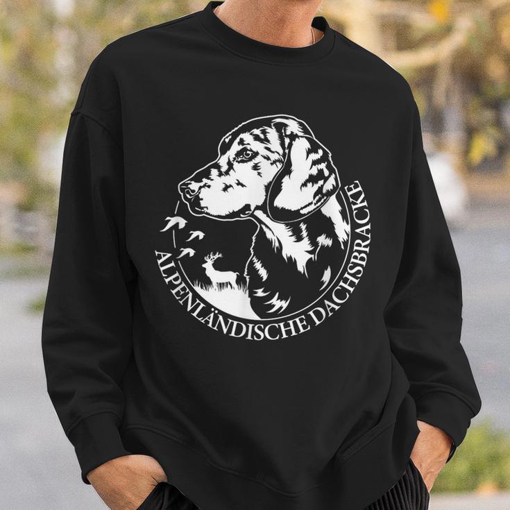 Alpenlänische Dachsbracke Portrait Hunting Dogs Sweatshirt Geschenke für Ihn