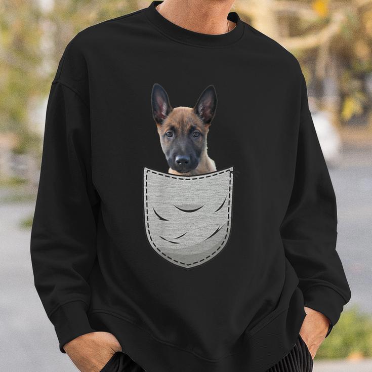 Belgian Malinois Puppy Dog Lover Mechelaar Sweatshirt Geschenke für Ihn