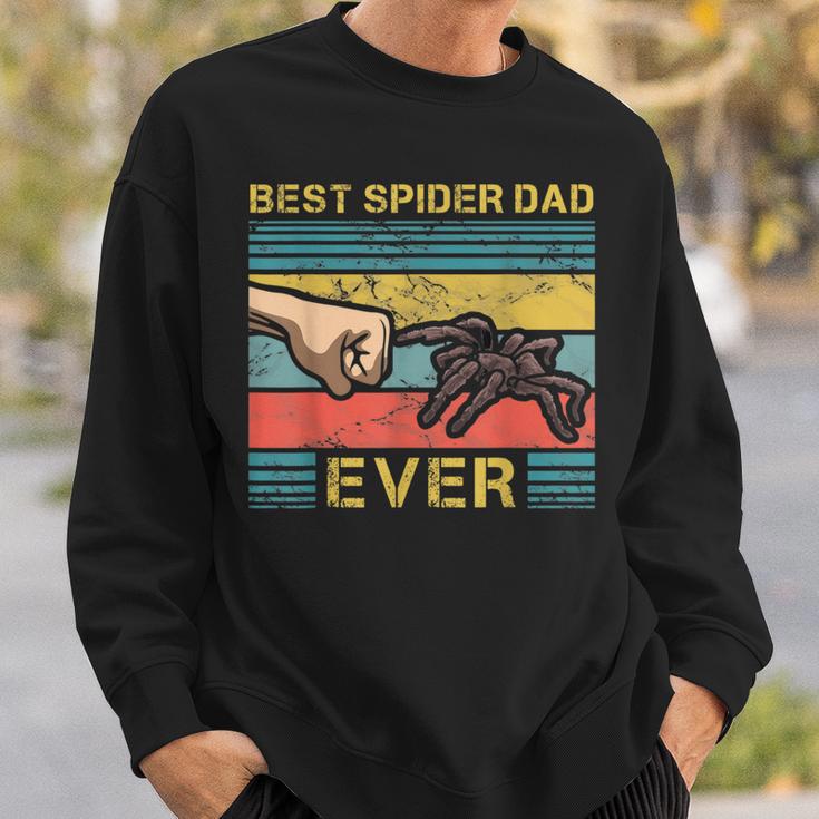 Bester Spinnen Papa Tarantula Pet Terrarium Father Sweatshirt Geschenke für Ihn