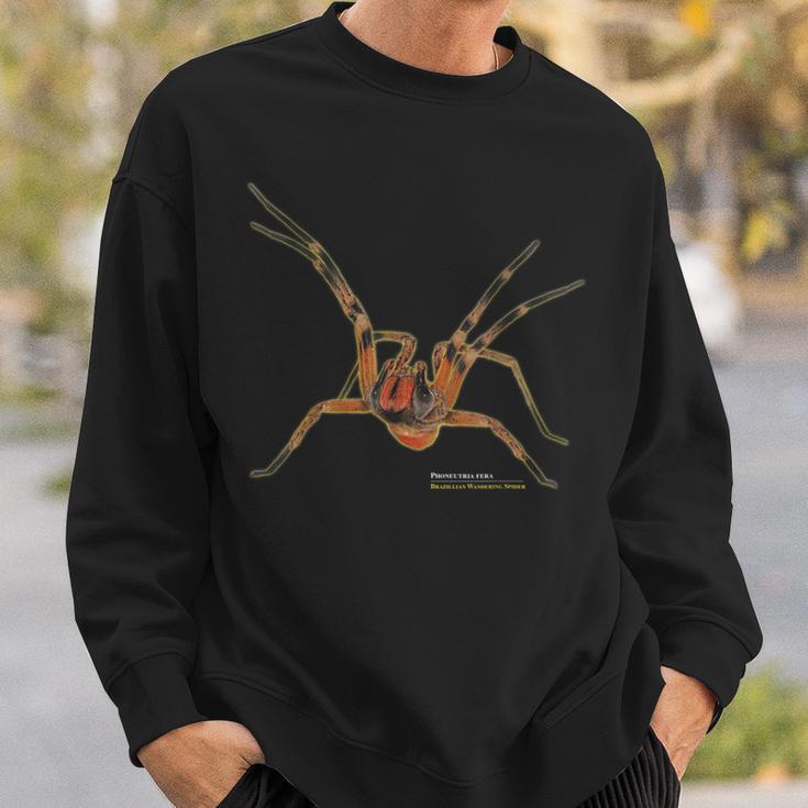 Brazilian Spider Phoneutria Fera Sweatshirt Geschenke für Ihn