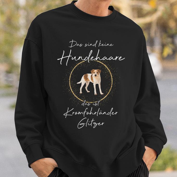 Das Sind Keine Hundehaare Das Ist Kromfohrländer Glitter Sweatshirt Geschenke für Ihn