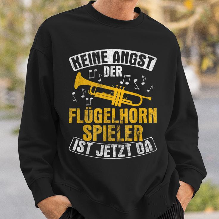 Der Flugelhorn Spieler Ist Jetzt Da Blasmusik Flugelhorn Sweatshirt Geschenke für Ihn